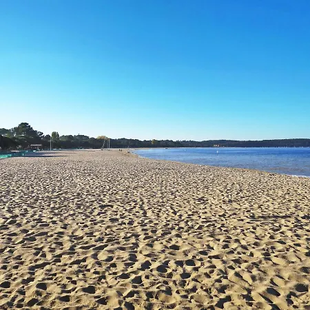 Les Sylvaines By Interhome