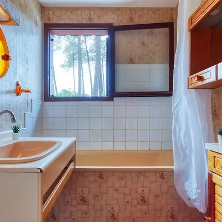 Les Sylvaines By Interhome Carcans